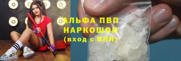 PSILOCYBIN Беломорск