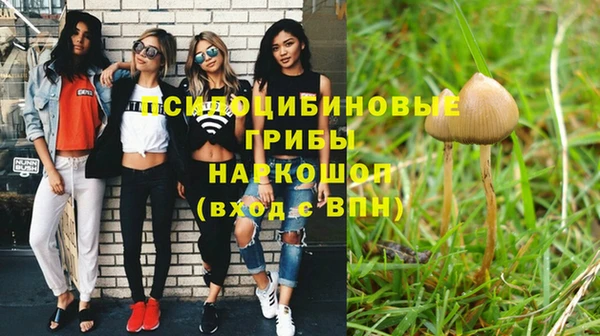 PSILOCYBIN Беломорск