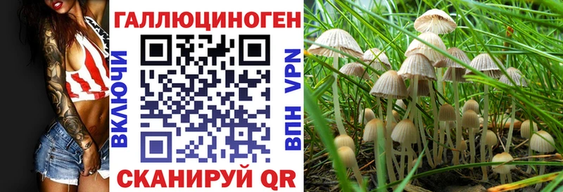 наркотики Высоковск Галлюциногенные грибы мухоморы